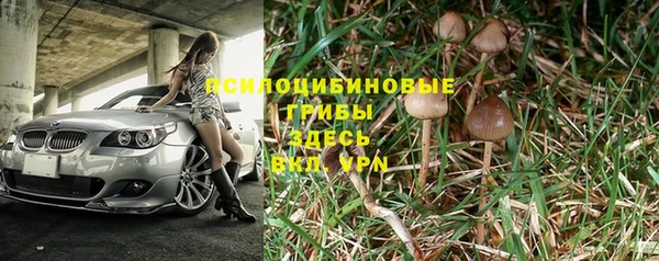 крисы Магас