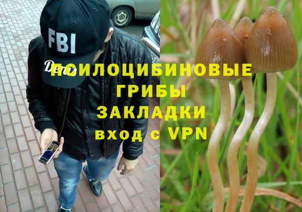 гидра Майский