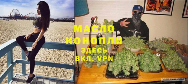 крисы Магас