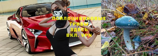 гидра Майский