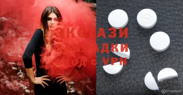 крисы Магас
