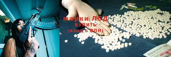 гидра Майский