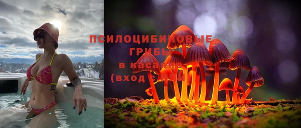 крисы Магас