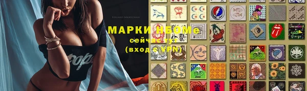 гидра Майский