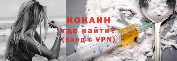 гидра Майский